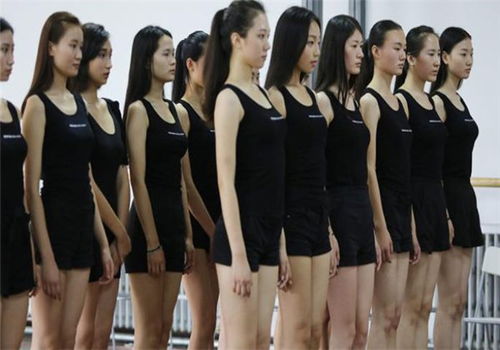 把握新面孔模特培训加盟机遇，37.64万元投入助你在灵性时代突破事业极限
